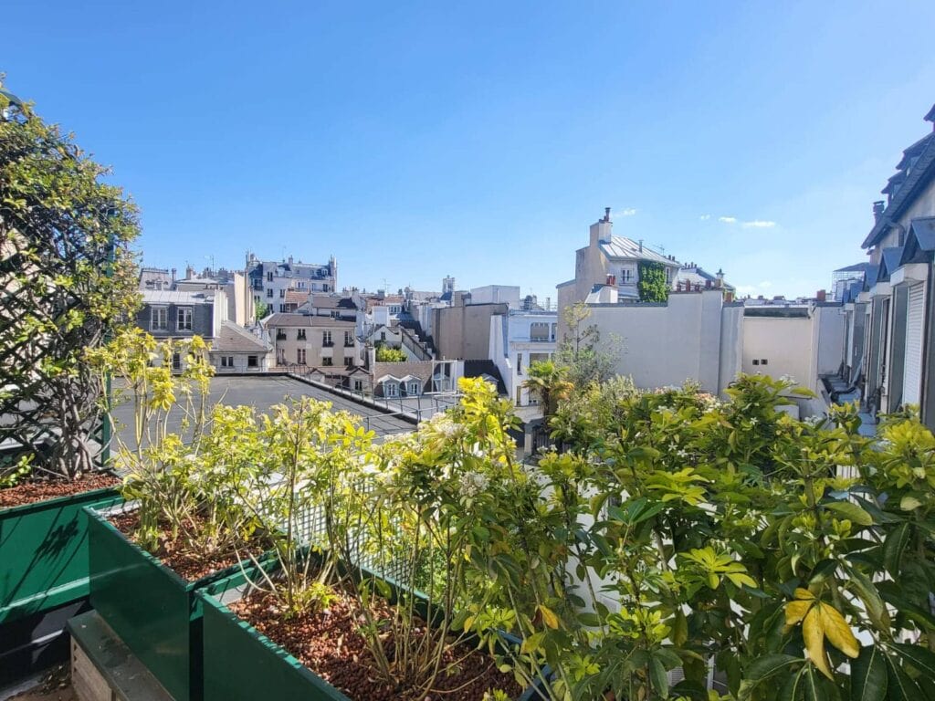 Notre- Dame Duplex